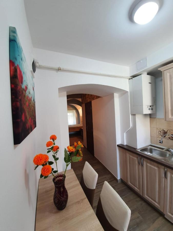 شقة Radu Apartament سيبيو المظهر الخارجي الصورة
